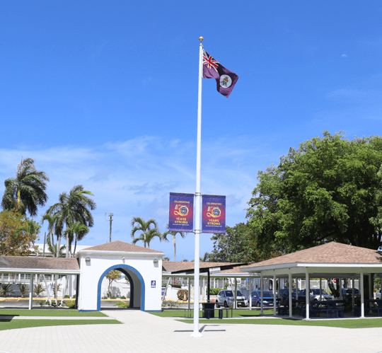 Achievements and Growth